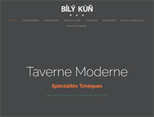 Tablet Screenshot of bilykun.com